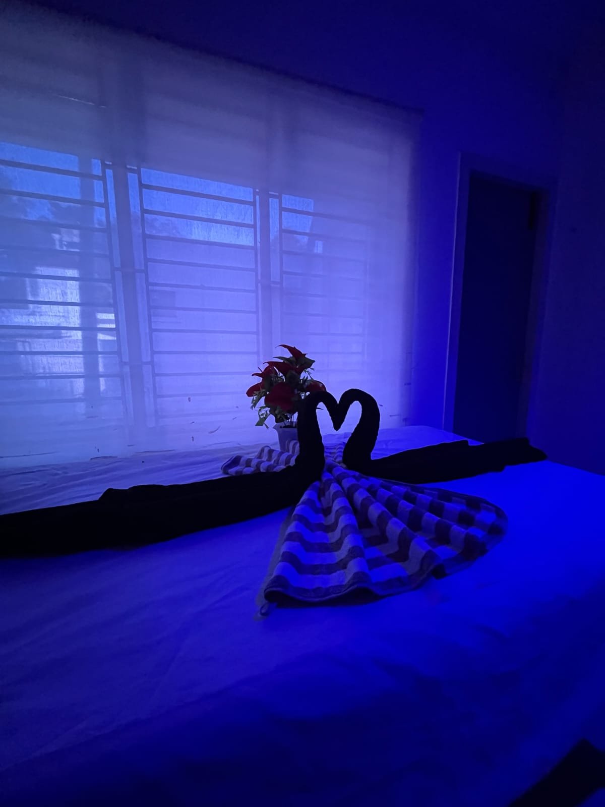 Professional massage therapy room in spa