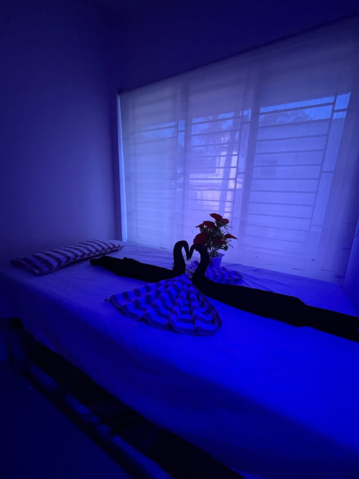 Premium wellness spa environment