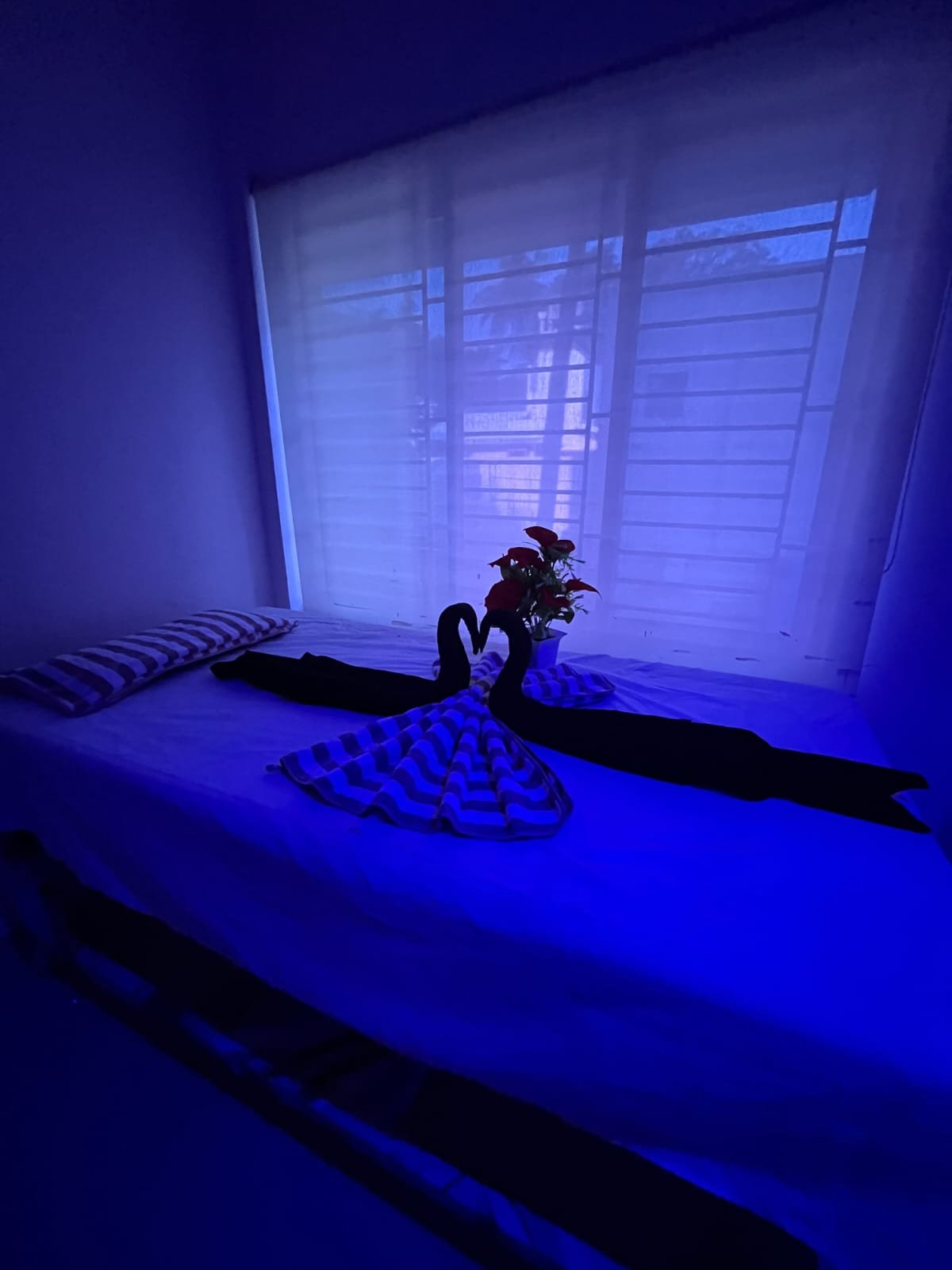 Authentic Thai massage treatment at 4M Spa Nungambakkam